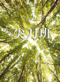 亚洲精品一区最新